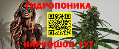 стаф Аргун