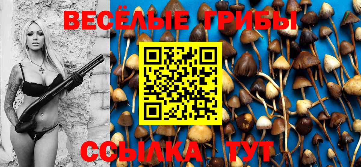 Галлюциногенные грибы мицелий  Вход с VPN  Белая Калитва 