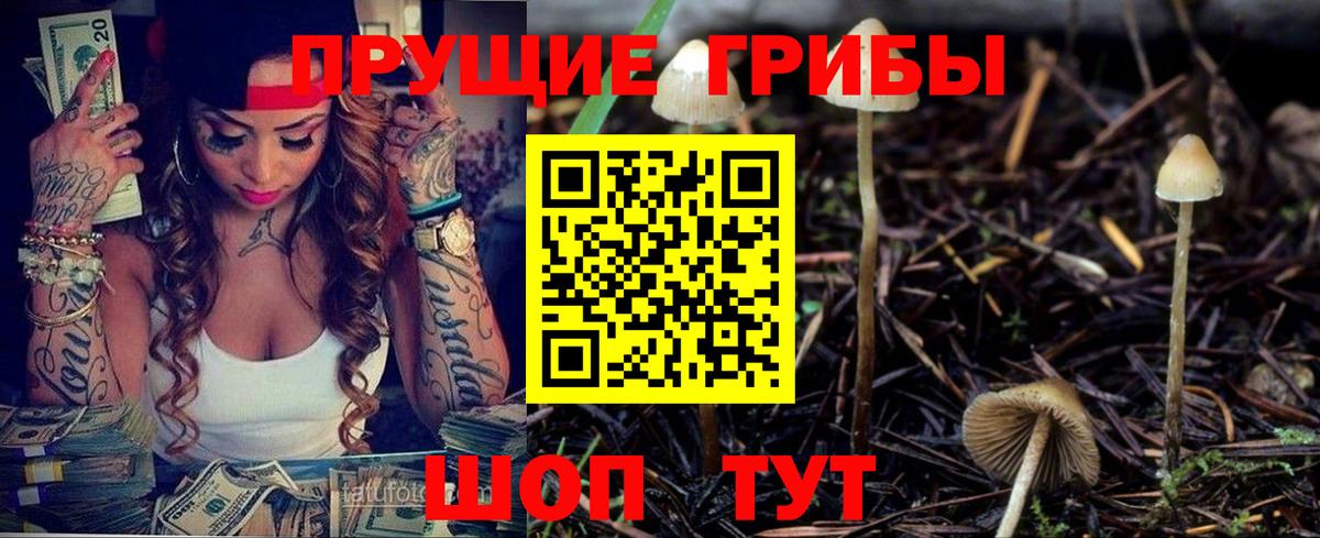 Галлюциногенные грибы Psilocybe Белая Калитва